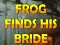 Spēle Frog Finds His Bride online