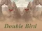 Spēle Double Bird online