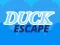 Spēle Duck Escape online