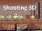 Spēle Shooting 3D online