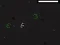 Spēle Bad Timing online