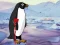 Spēle Heal the Wounded Penguin online