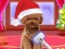 Spēle Christmas ASMR Makerover Salon online