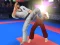 Spēle Karate Fighter online