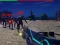 Spēle Zombie Survivor online