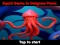 Spēle Squid Game In Dalgona Panic online