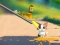 Spēle Cat Challenge online