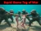 Spēle Squid Game Tug Of War online