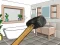 Spēle Smash The Room To Pieces online