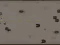 Spēle Cyborg Ii online