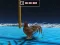 Spēle Animal Impossible Track Rush online