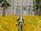 Spēle Axe Of The Ancients Dwarven Fury online