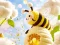 Spēle Find The Differences: Little Bee's Adventure online