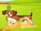 Spēle Bunny Key Quest online