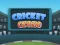 Spēle Cricket Craze online