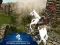 Spēle Ertugrul Gazi Horse Sim online