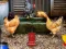 Spēle Poultry Farm Easter Escape online