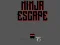 Spēle Ninja escape online