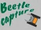 Spēle Beetle Capture online
