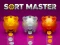 Spēle Sort Master online