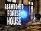 Spēle Abandoned Forest House online