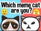 Spēle Which Meme Cat Are You? online