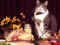 Spēle Funny Cats Puzzle online