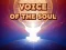 Spēle Voice Of The Soul online