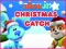 Spēle Nick Jr. Christmas Catch online