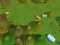 Spēle Worms Combat Coop online