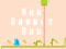 Spēle Run Rabbit Run online