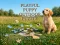 Spēle Playful Puppy Outdoor Puzzle online