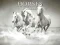 Spēle Horses Puzzle online