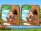 Spēle Jungle 5 Diffs online