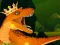 Spēle The Dino King online