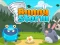 Spēle Bunny Storm online
