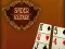 Spēle Spider Solitaire online