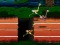 Spēle Big Birds Racing online