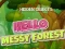 Spēle Hidden Objects Hello Messy Forest online