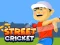 Spēle Street Cricket online