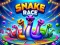 Spēle Snake Race online