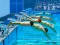 Spēle Swimming Pool Race online