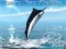 Spēle Azure Sea Fishing online