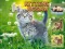 Spēle Kittens Jigsaw online