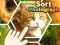 Spēle Sort Photograph online