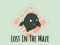 Spēle Lost In The Maze online