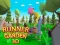 Spēle Runner Garden 3d online