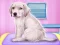 Spēle Labrador at the doctor salon online