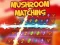 Spēle Mushroom matching online