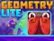 Spēle Geometry Lite online